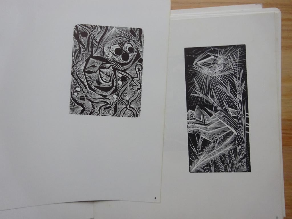 Houtgravure, academie Gent, 1965, Gaudaen / kunsmapje, Ophalen of Verzenden, Gelezen, Grafische vormgeving