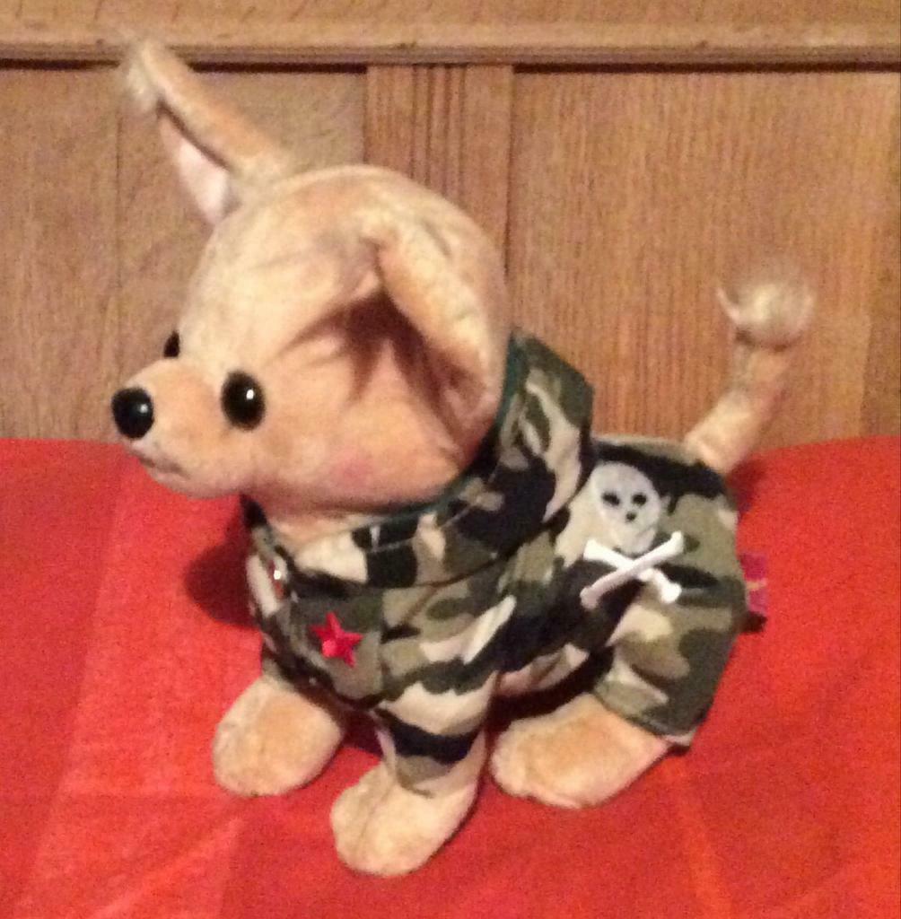 Mooie chiwawa knuffel met pakje aan., Ophalen of Verzenden, Nieuw