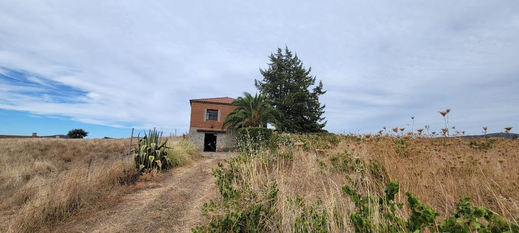 Spanje/EXtremadura/1000 wijnstokken /Trujillo 159->149.000€, Overige soorten, Spanje, 2 kamers, Landelijk