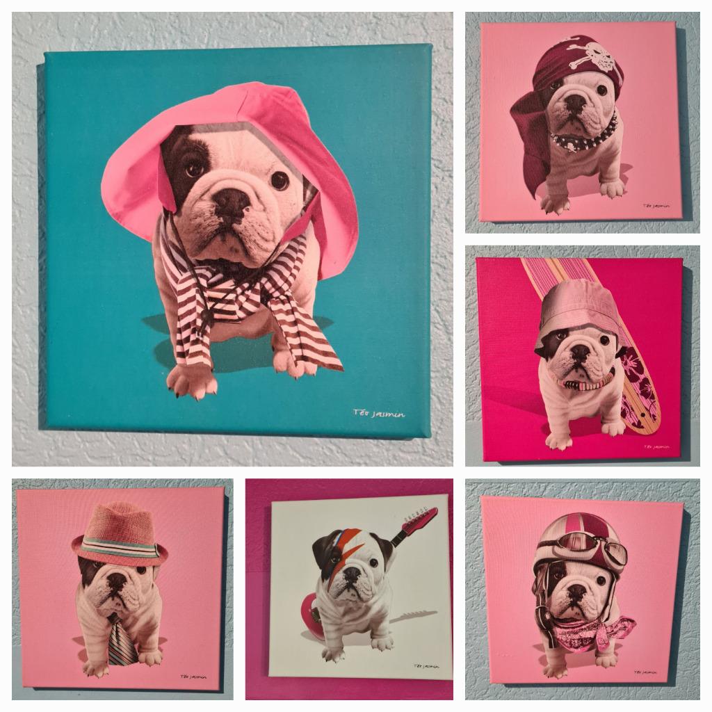 Lot de 6 cadres Téo Jasmin, Moins de 50 cm, Comme neuf, Enlèvement, Peinture