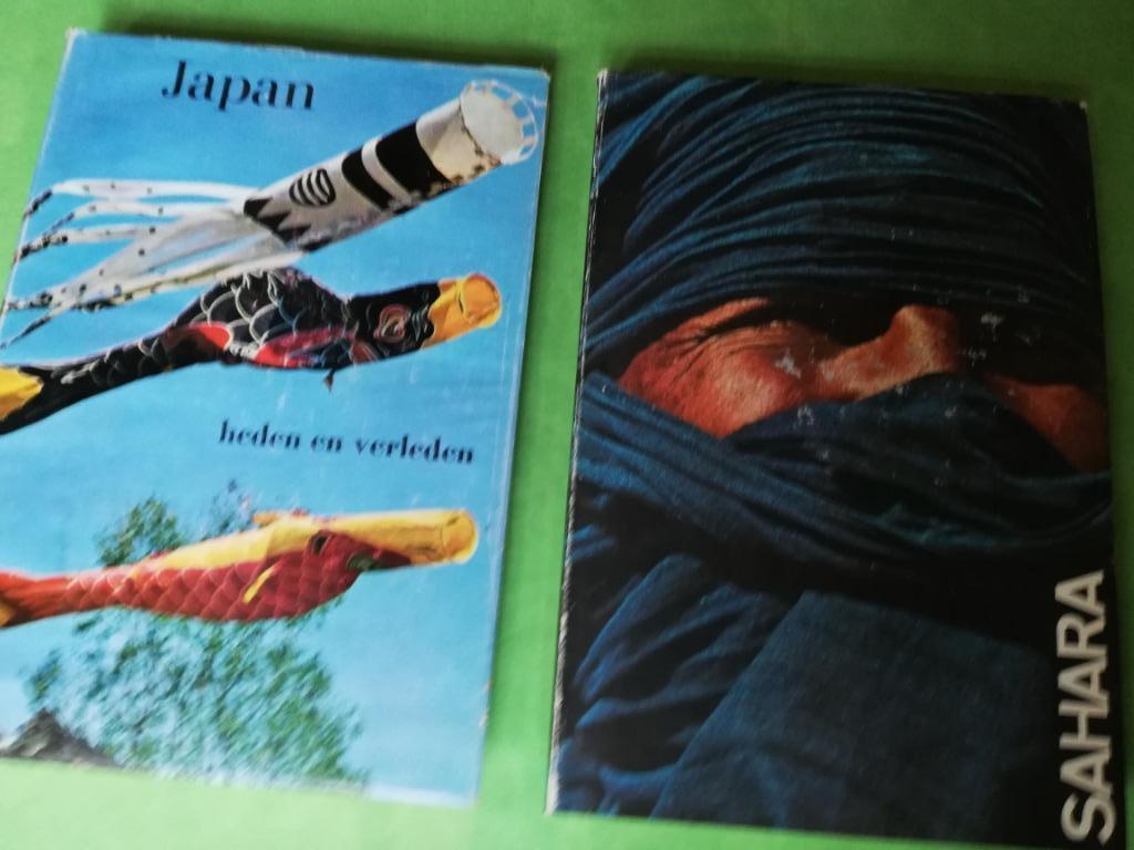 2  ARTIS LAND- EN STREKEN BOEKEN: SAHARA EN JAPAN  met ingel, Ophalen of Verzenden, Gelezen, Artis historia, Prentenboek