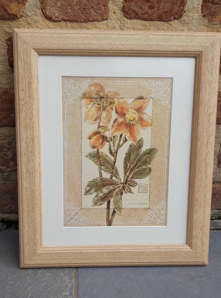 landelijke houten kader met print van bloem, Ophalen, Minder dan 50 cm, Minder dan 50 cm, Print