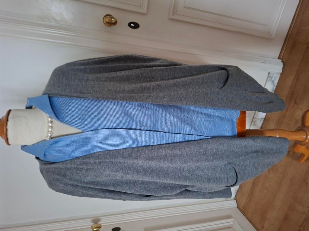 Warme gilet v/h merk Gerard Darel, Maat 38/40 (M), Gerard darel, Ophalen of Verzenden, Zo goed als nieuw