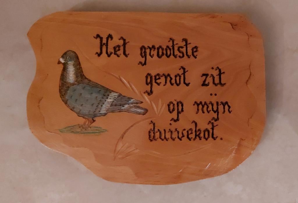 Décoration murale pour colombophile. 21x29x2cm Comme neuf., Enlèvement ou Envoi