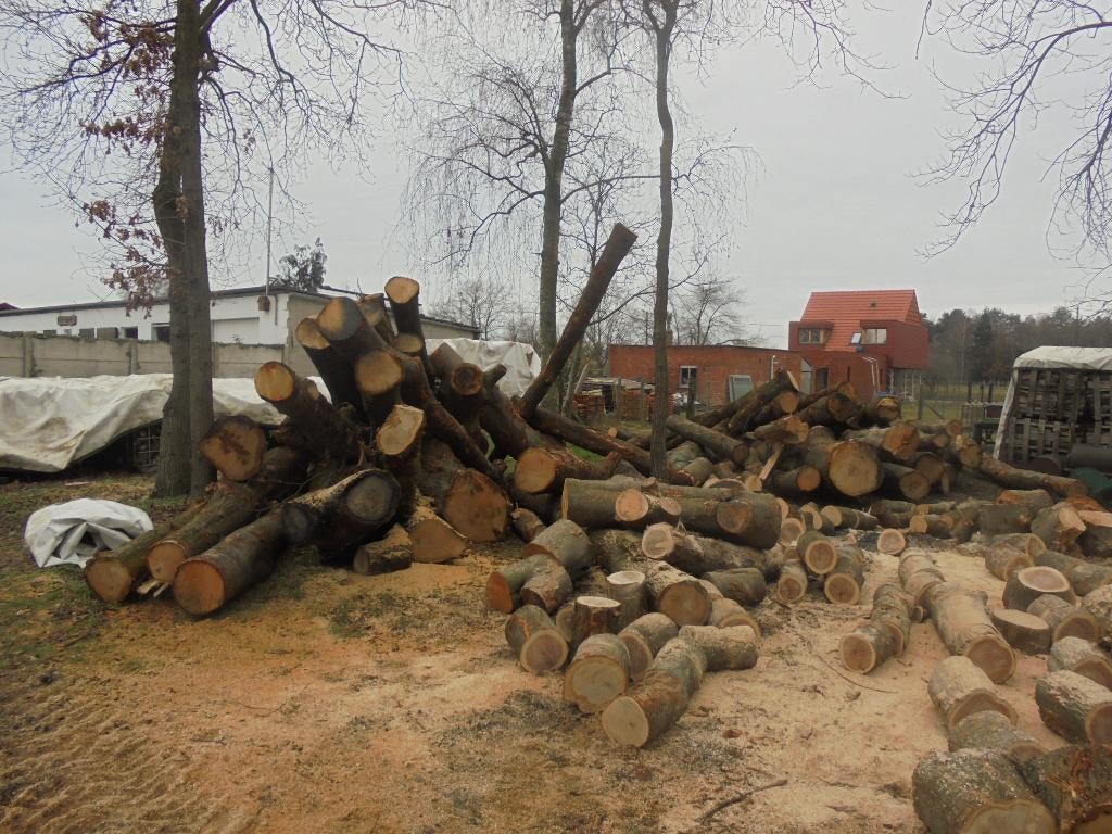 Brandhout te koop, Enlèvement ou Envoi