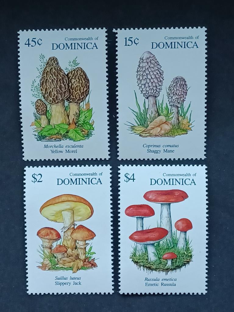 Postzegels Dominica - Paddestoelen, Postzegels en Munten, Ophalen of Verzenden, Postfris, Midden-Amerika