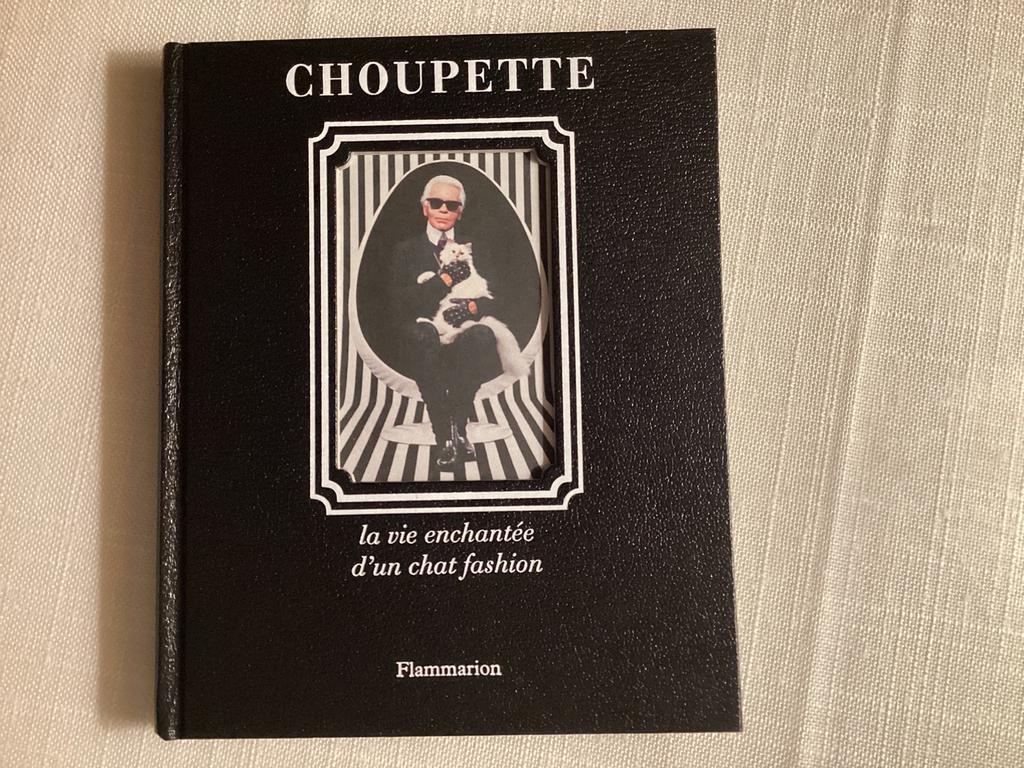 KARL LAGERFELD-Flammarion-2014 ️, Zo goed als nieuw