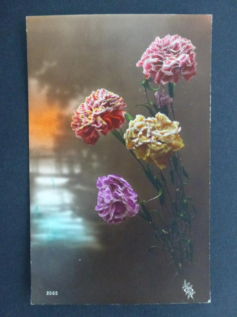 vieille carte postale fleurs oeillets, Collections, Envoi, 1920 à 1940, Affranchie, Nature