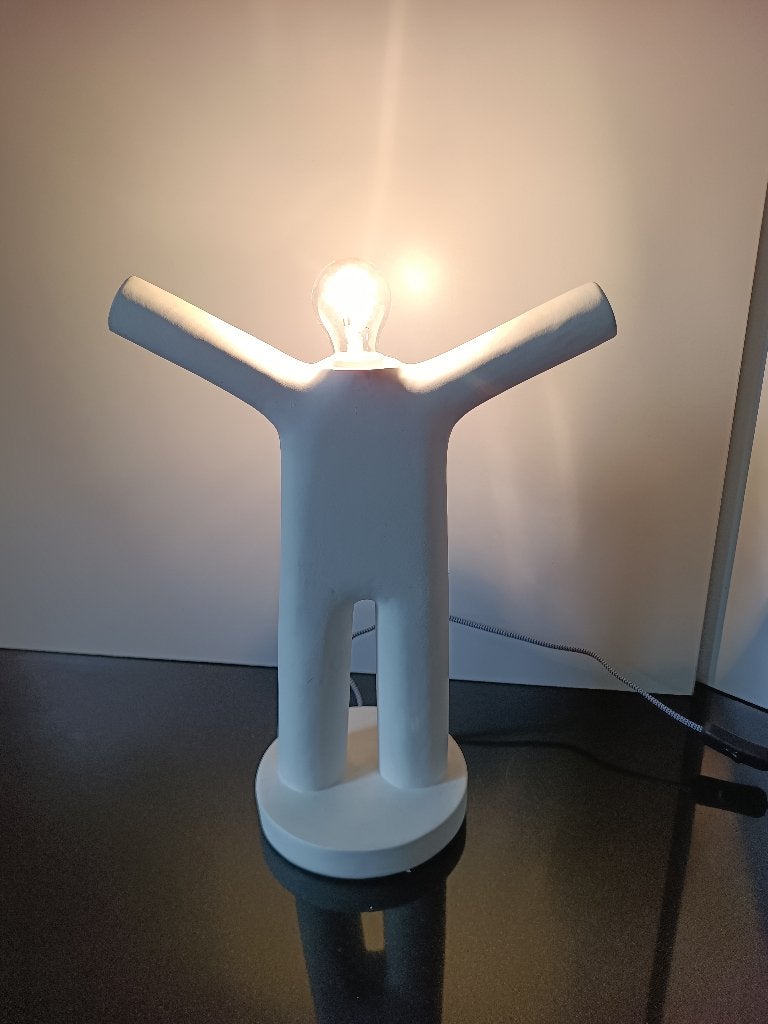Lamp J-line mannetje, Ophalen