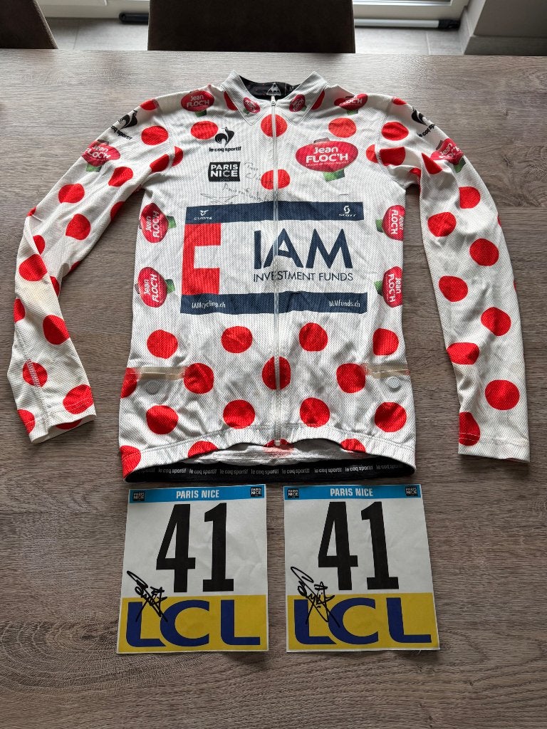 Originele bollentrui Sylvain Chavanel Paris Nice 2014, Ophalen of Verzenden, Gebruikt, Kleding