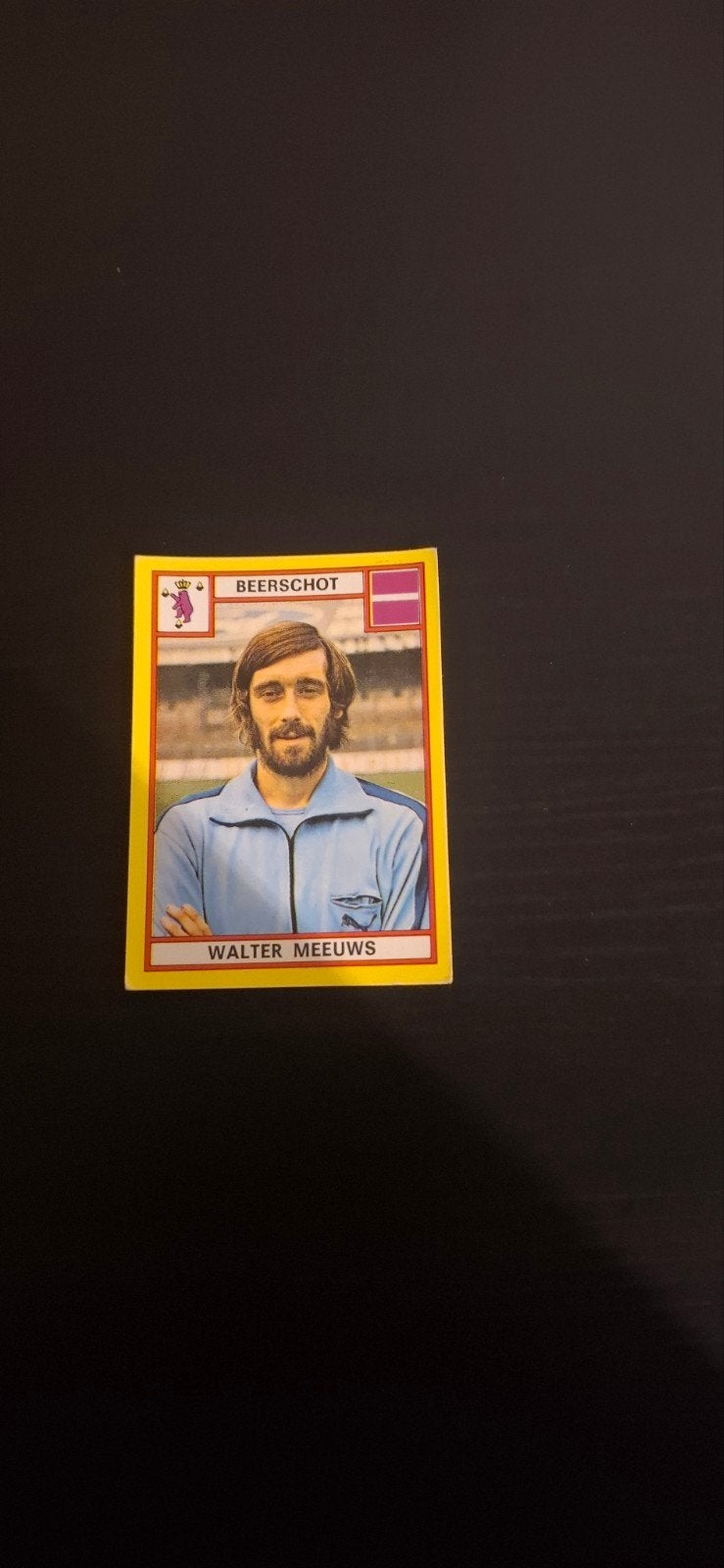 Panini voetbal 1975, Ophalen of Verzenden