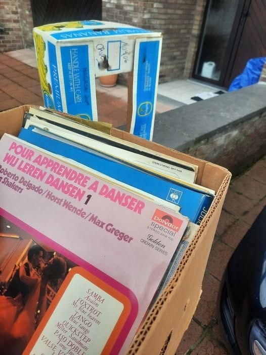 lot de disques 33t parfait etat, Enlèvement, Utilisé