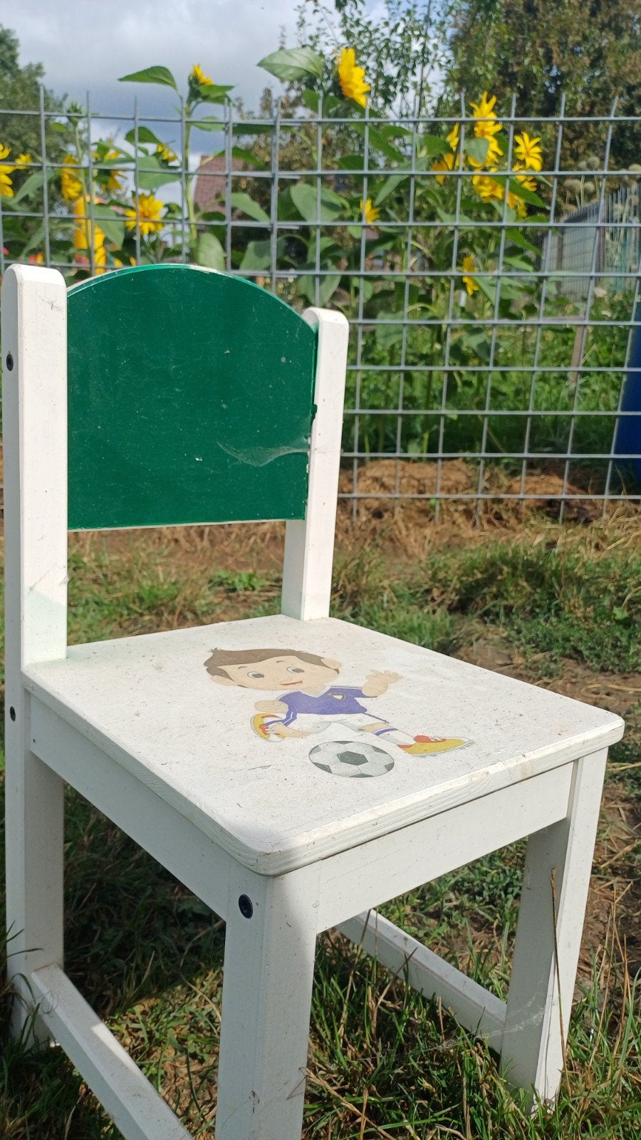 kinderstoel, Kinderen en Baby's, Ophalen