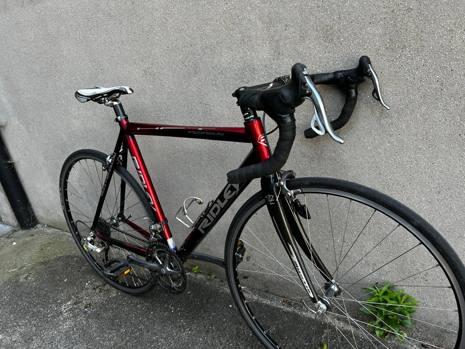 Koersfiets Ridley 28 inch maat 57, Fietsen en Brommers, Fietsen | Heren | Sportfietsen en Toerfietsen, Ophalen, Zo goed als nieuw