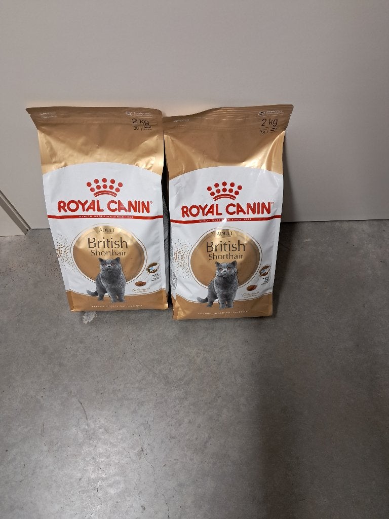 Royal canin british shorthair brokken, Animaux & Accessoires, Enlèvement ou Envoi, Chat