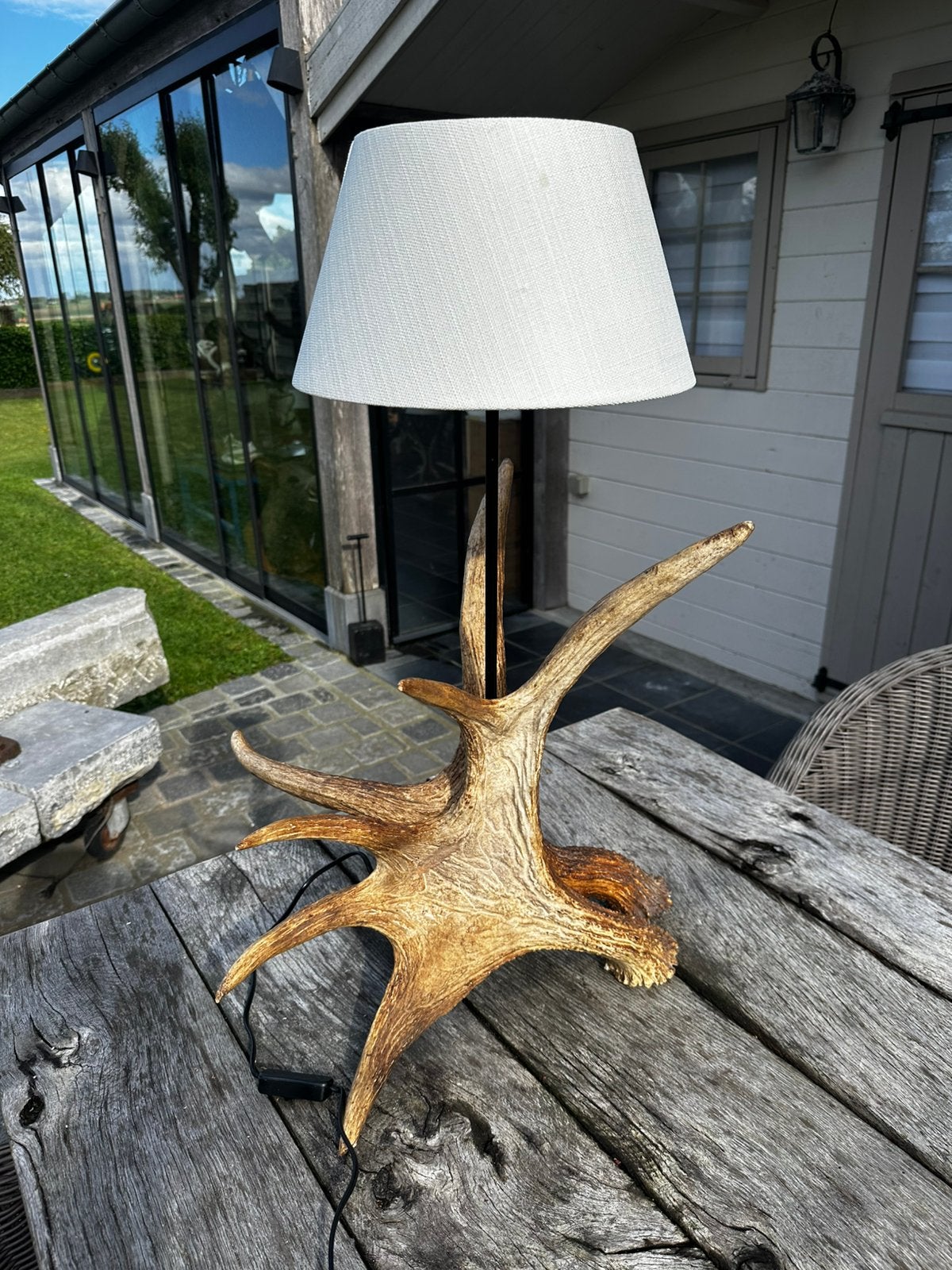 Eland lamp taxidermie, Antiquités & Art, Curiosités & Brocante, Enlèvement