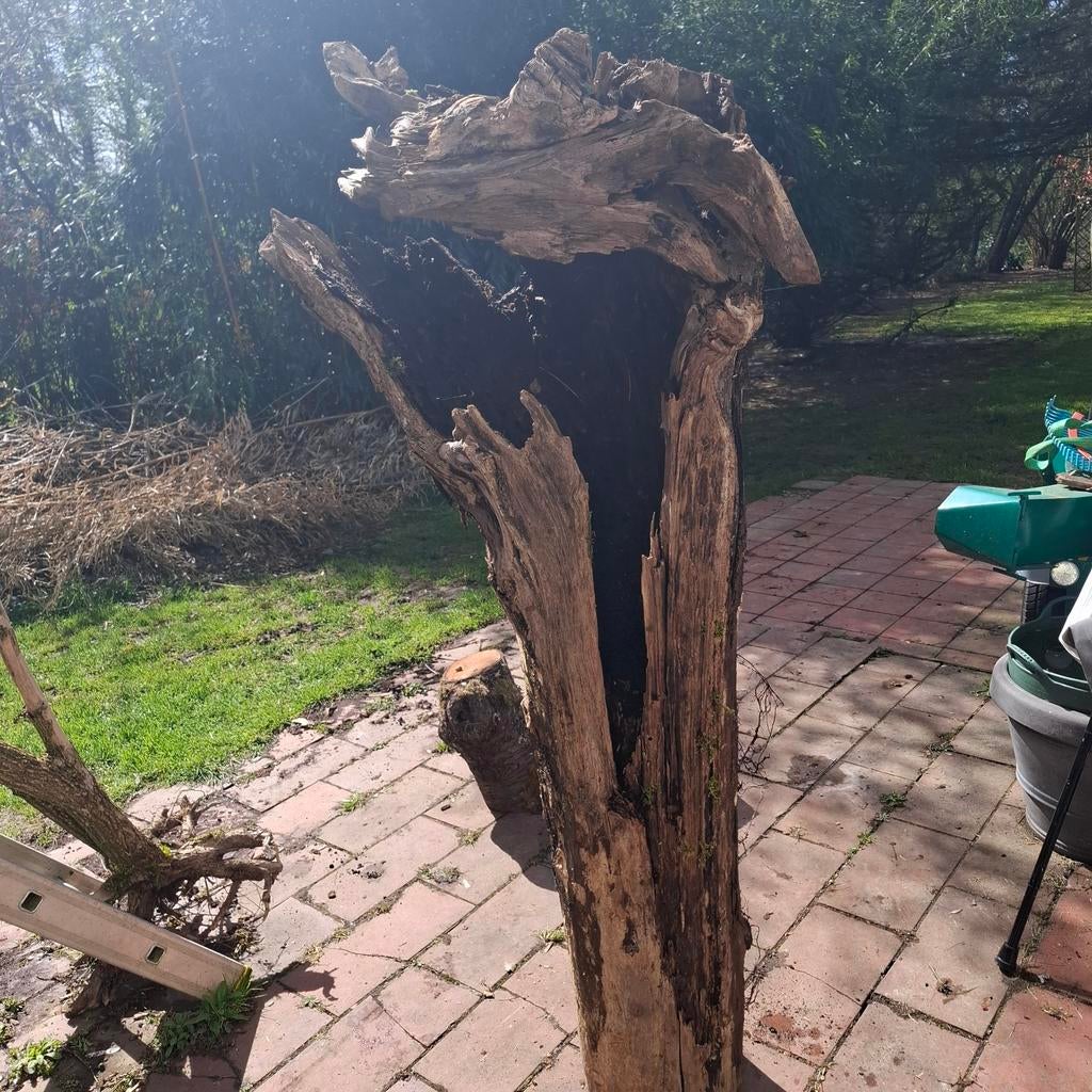Souche décorative, finition à la demande., Ophalen, Hout, Boho