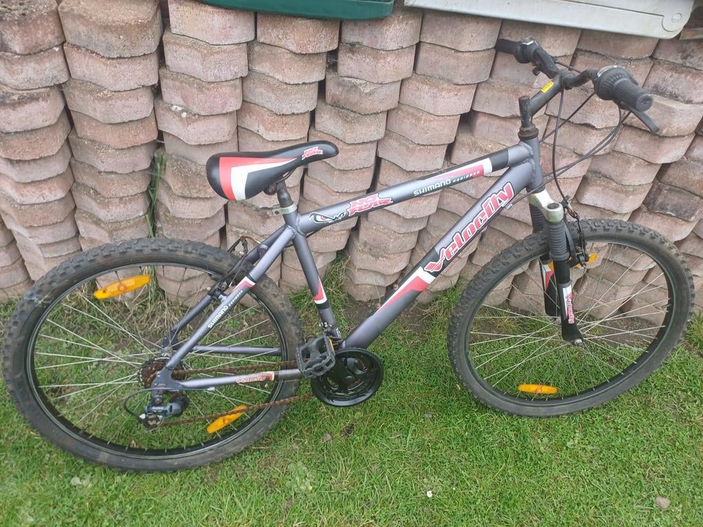 Vélo adulte, Vélos & Vélomoteurs, Enlèvement