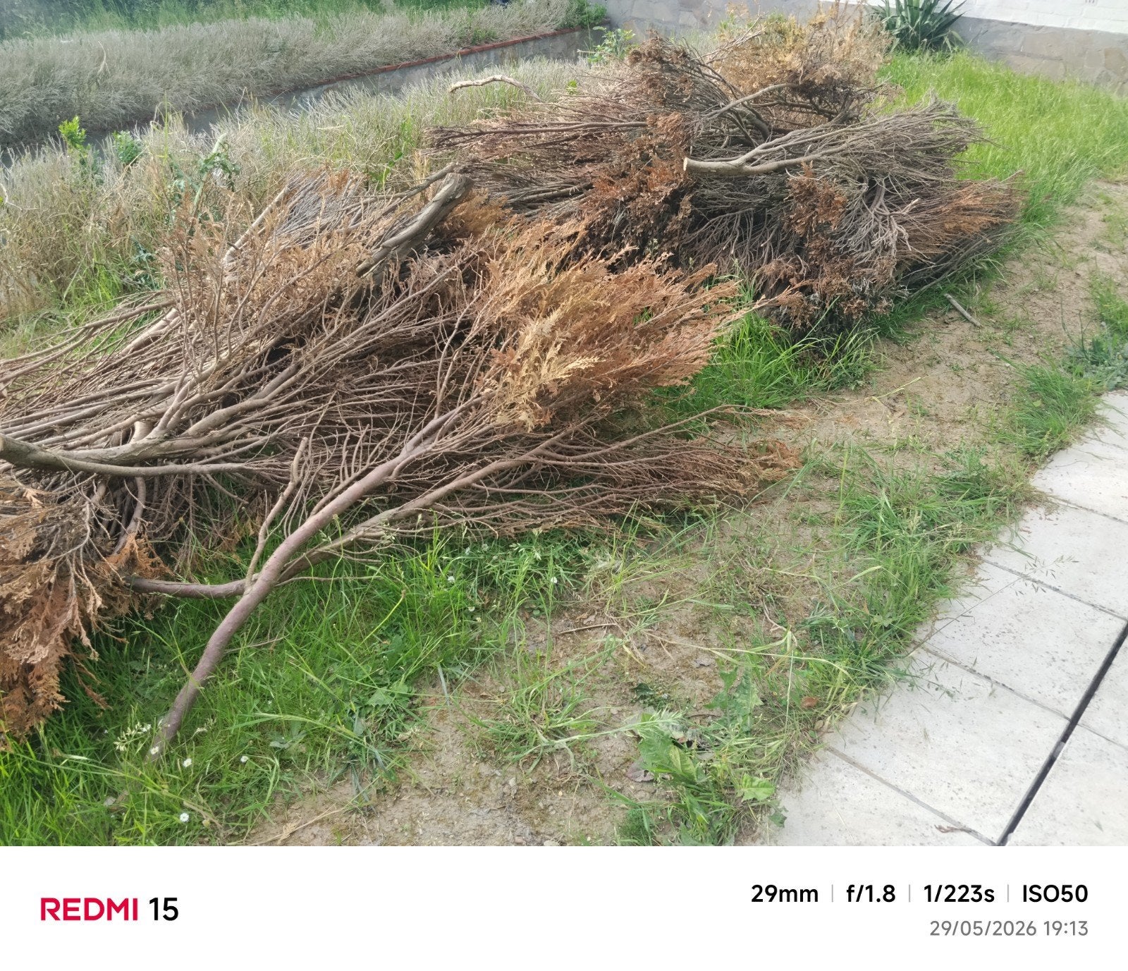 bois sec pour BBC ou feu ouvert, Jardin & Terrasse, Enlèvement