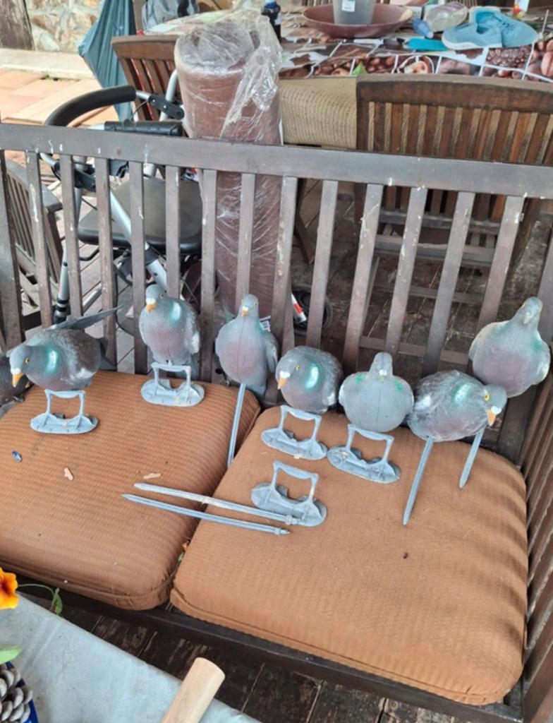 7 leurres à vendre, Enlèvement