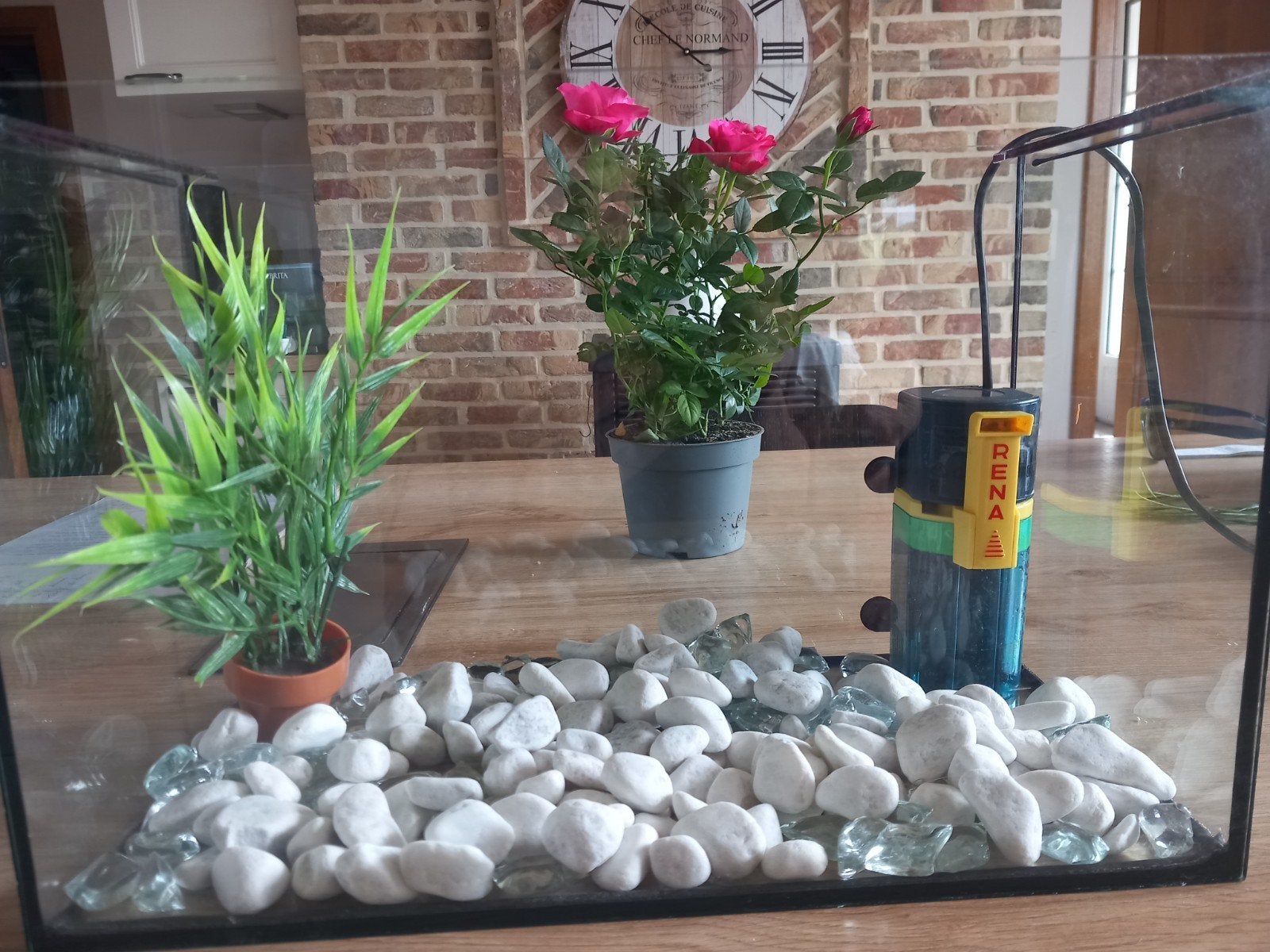 petit aquarium, Enlèvement, Pompe