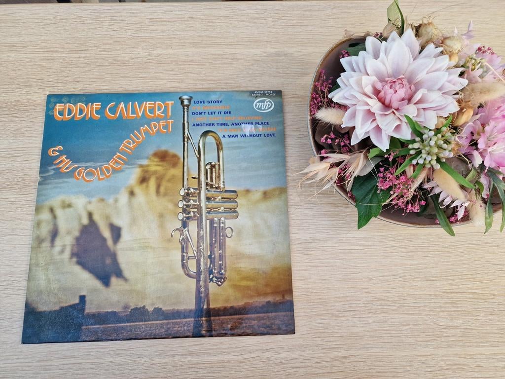 Verschillende vinylplaten, Ophalen of Verzenden, Gebruikt