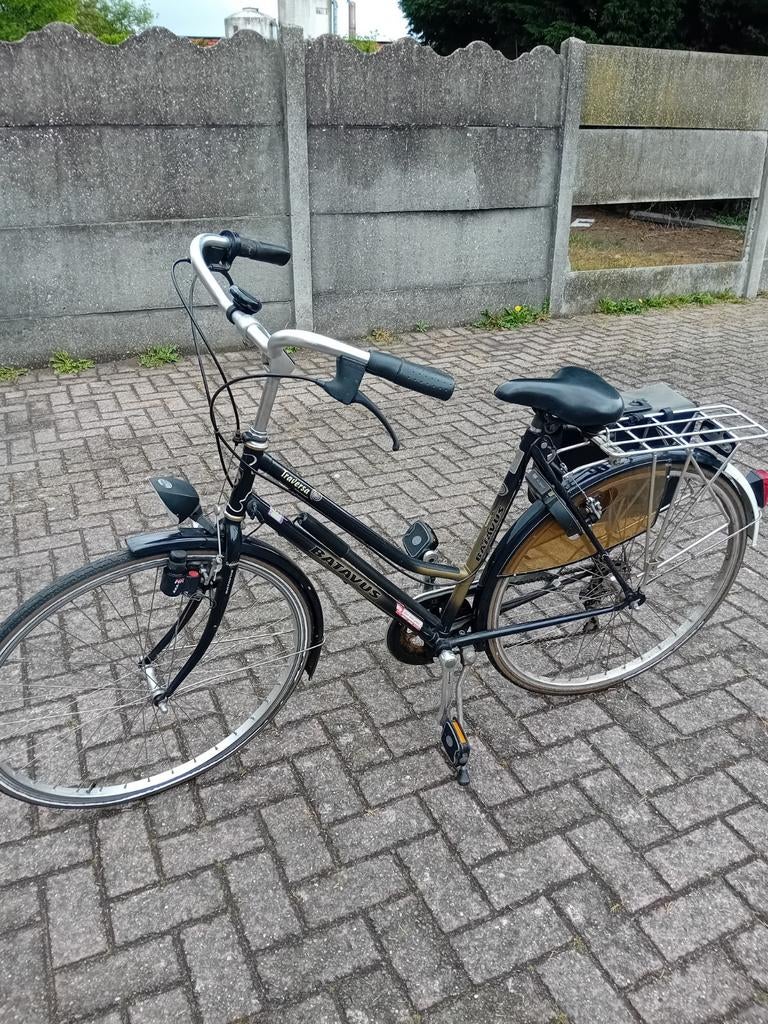 Dames fiets, Ophalen, Batavus