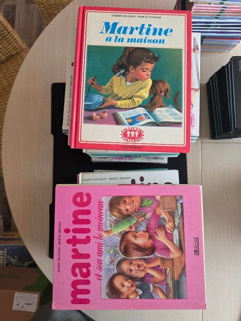 Martine, Livres, Enlèvement ou Envoi, Utilisé, Fiction général