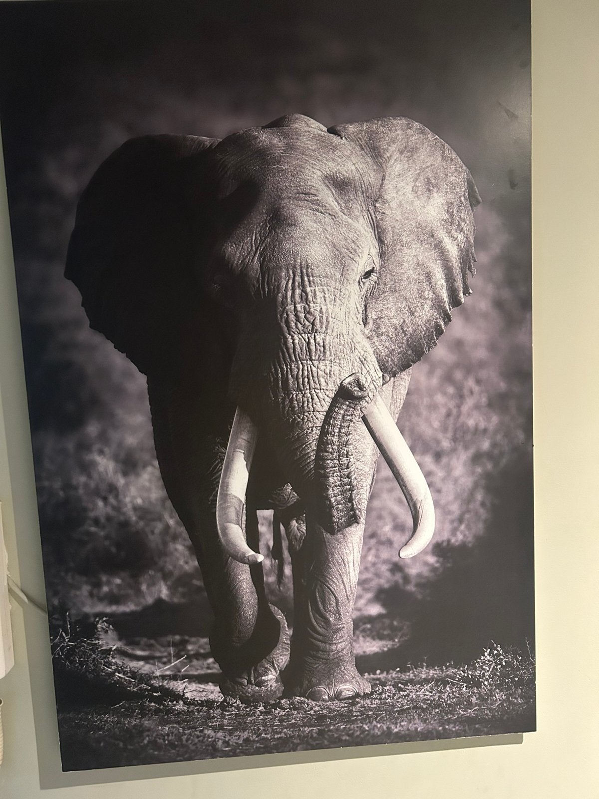 Dierenschilderijen, Antiquités & Art, Art | Peinture | Moderne, Enlèvement ou Envoi, Animaux