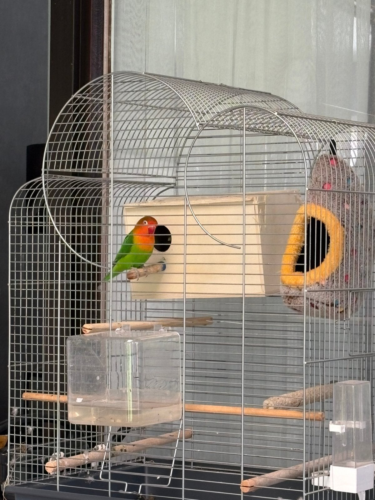 Personatas te koop, Plusieurs animaux