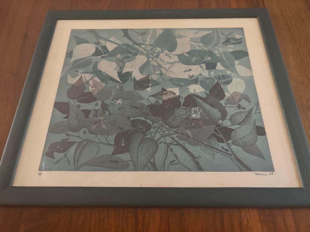 Abstracte tekening ingekaderd achter glas (Rebecca), Antiek en Kunst, Kunst | Tekeningen en Fotografie, Ophalen