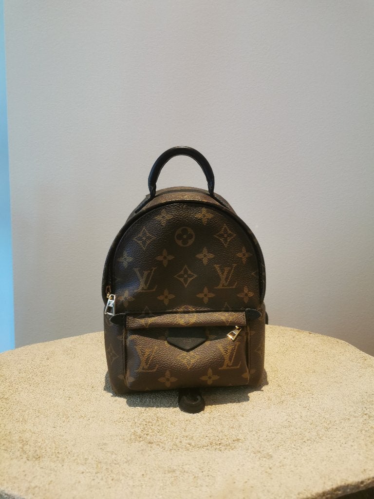 Louis Vuitton palm springs mini backpack, Handtassen en Accessoires, Ophalen of Verzenden, Nieuw, Handtas