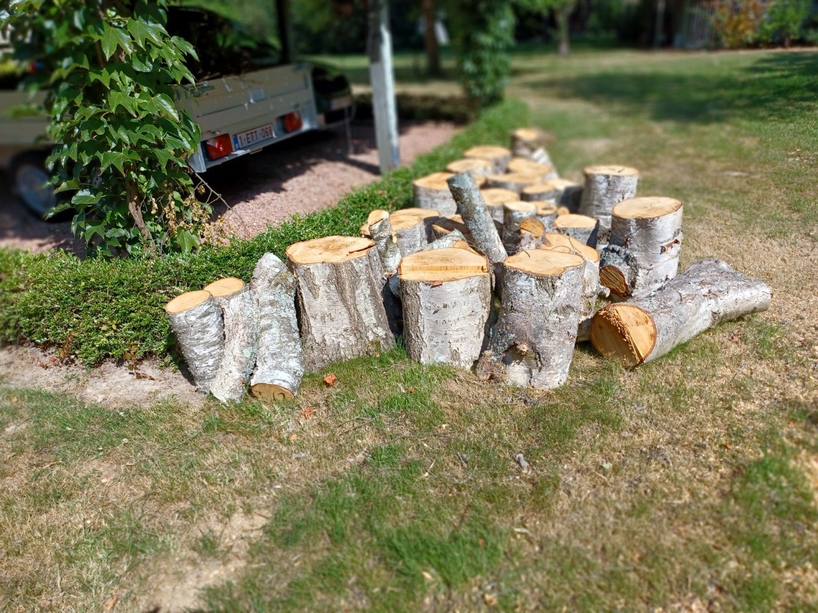 Degelijk brandhout., Tuin en Terras, Brandhout, Ophalen, Blokken