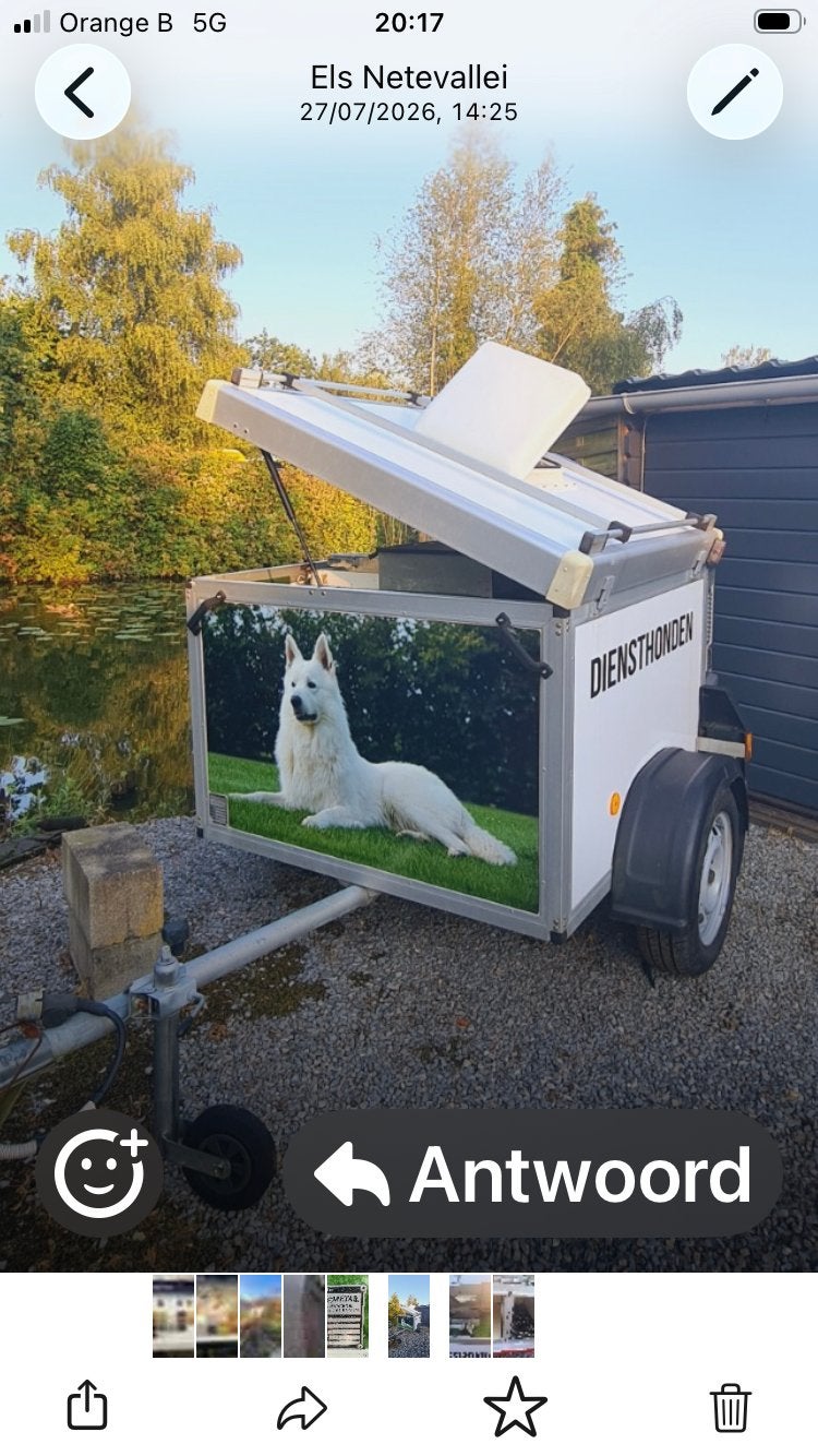 Hondenremork, Dieren en Toebehoren, Ophalen, Gebruikt, Hondenhok