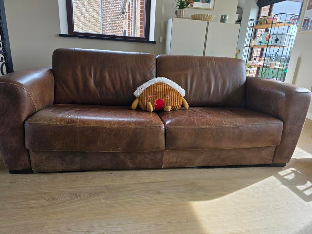 Zetel bruin, Ophalen