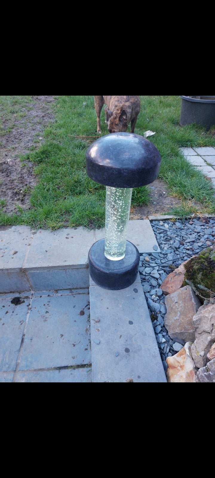 Lampe, Ophalen