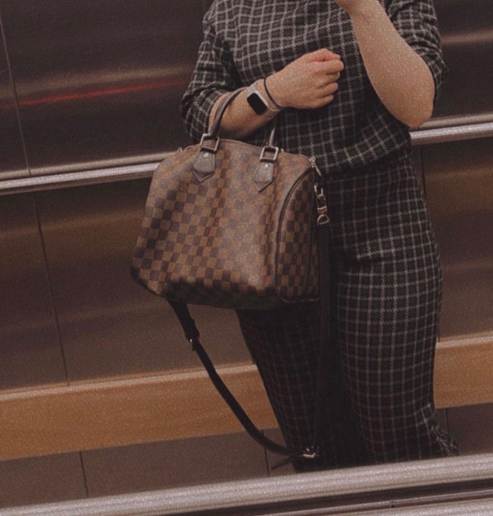 Louis Vuitton handtas, Enlèvement, Utilisé, Brun, Sac à main