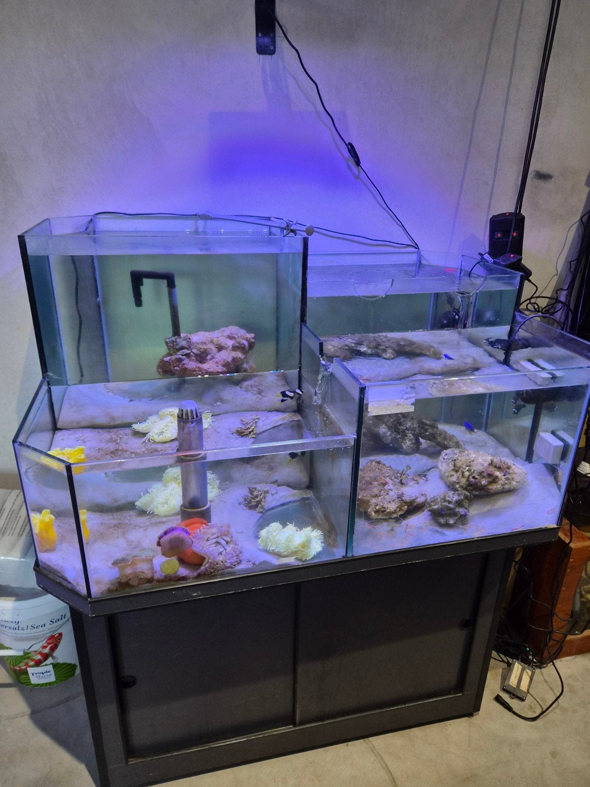 speciale zoutwater aquarium met alle techniek bij., Dieren en Toebehoren, Vissen | Aquaria en Toebehoren, Ophalen of Verzenden
