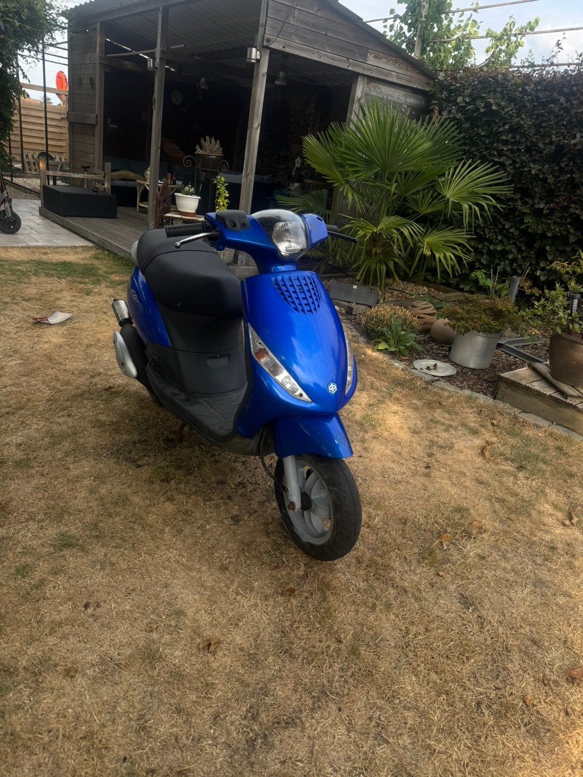 Piaggio zip 2t 50cc, Enlèvement, Comme neuf, Zip