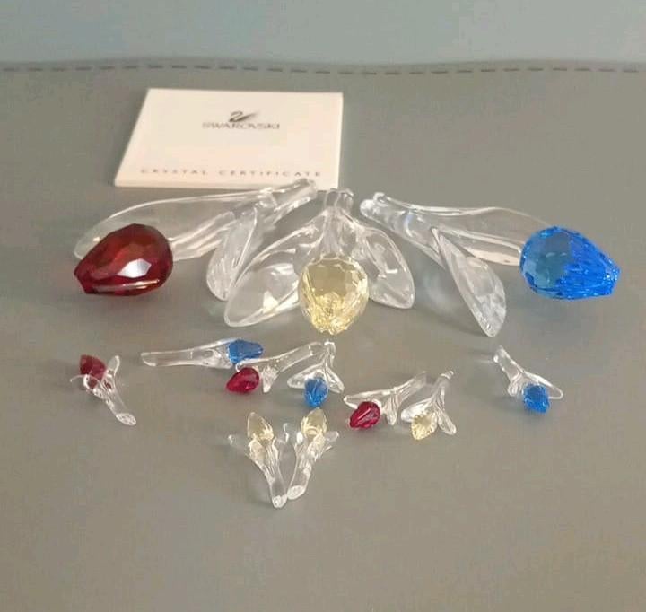 Swarovski tulpen, Verzamelen, Swarovski, Ophalen