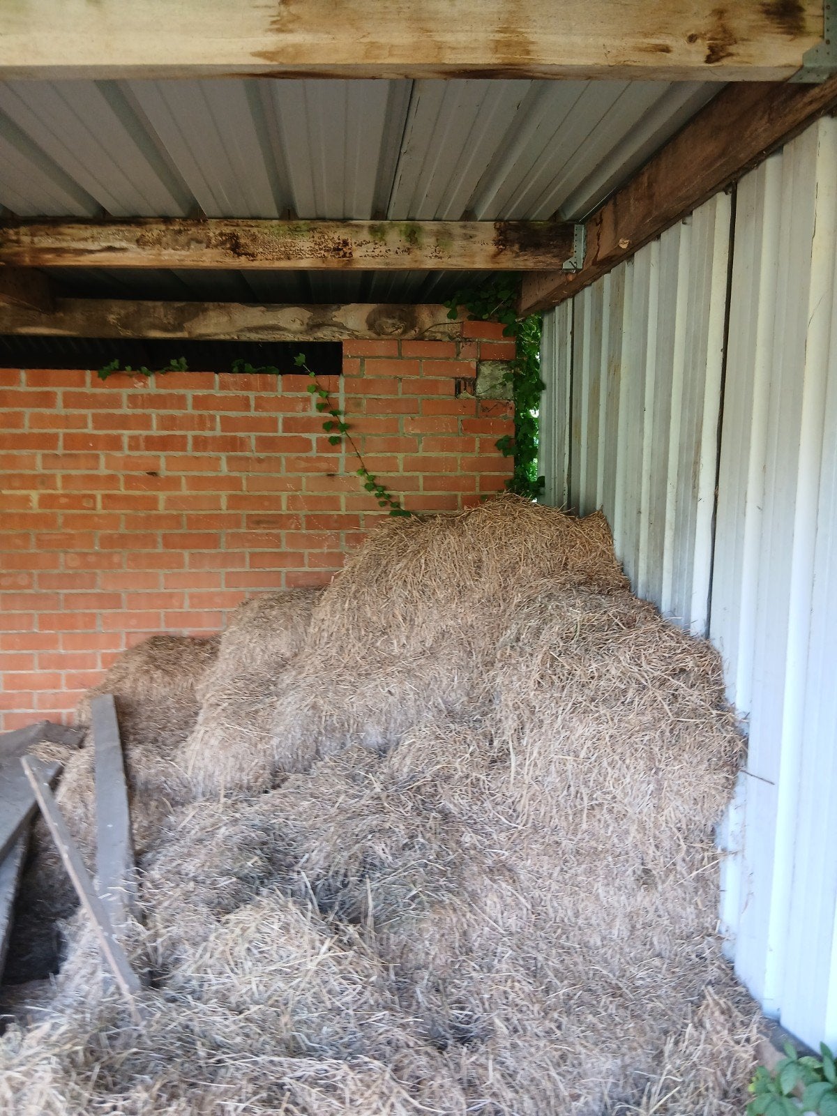 oud hooi voor moestuin, Animaux & Accessoires
