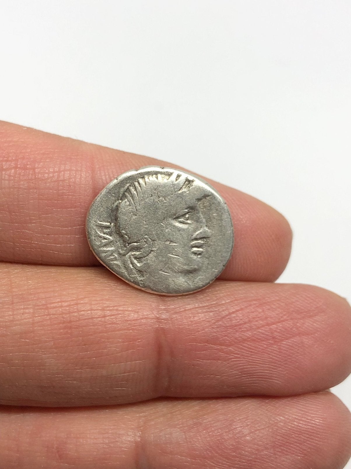 République romaine, C. Vibius C.f. Pansa, Denier, 90 BC, Envoi, Italie, Monnaie en vrac, Argent