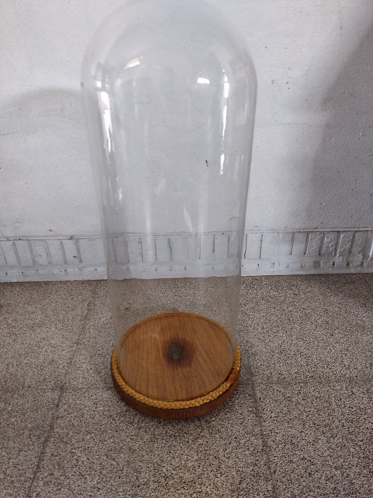 glazen stolp - uit de jaren '70, Glas, Ophalen, Gebruikt, Met plateau