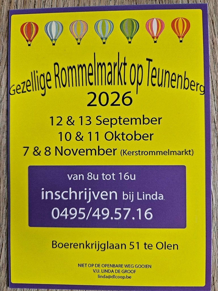 Rommelmarkt Teunenberg 12 en 13 september, Electroménager, Équipement de Soins personnels, Enlèvement, Utilisé