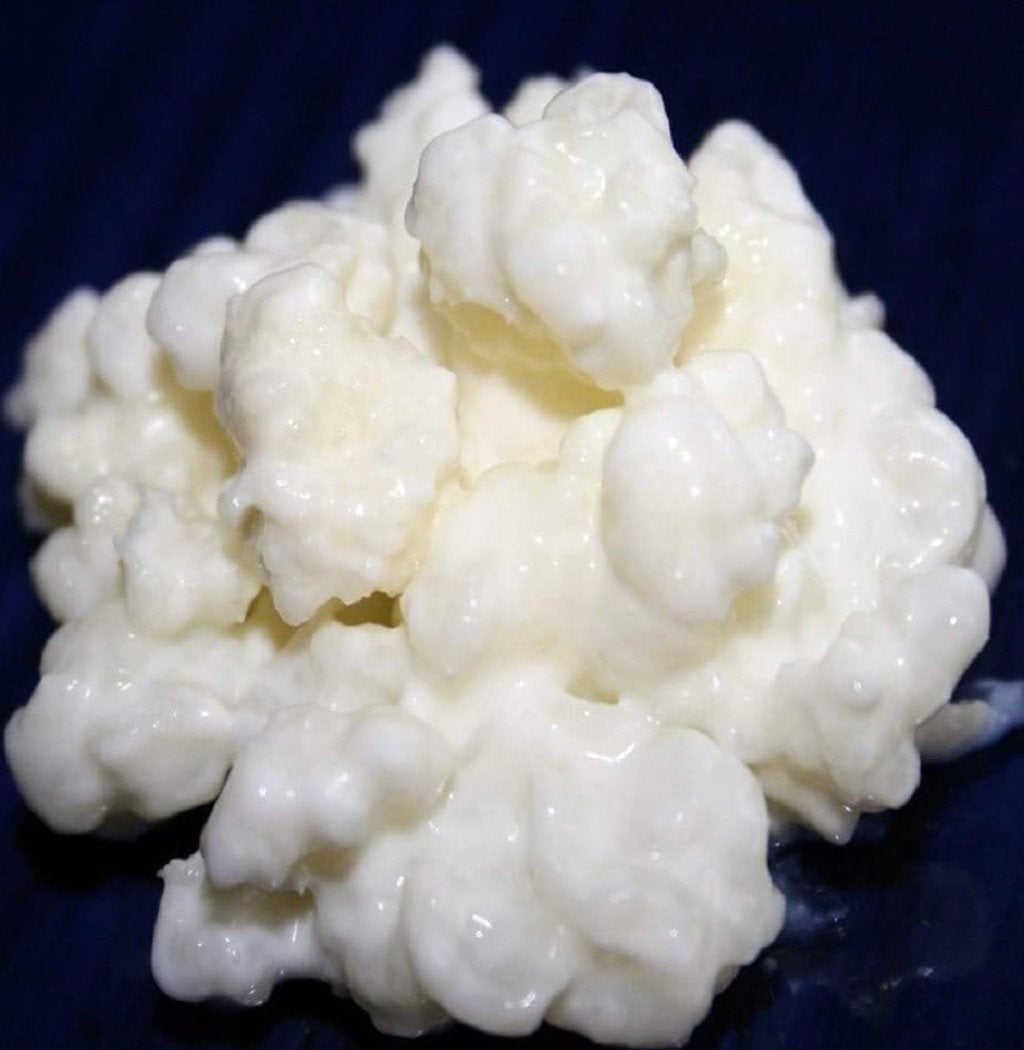 Melkkefir, Divers, Produits alimentaires, Enlèvement