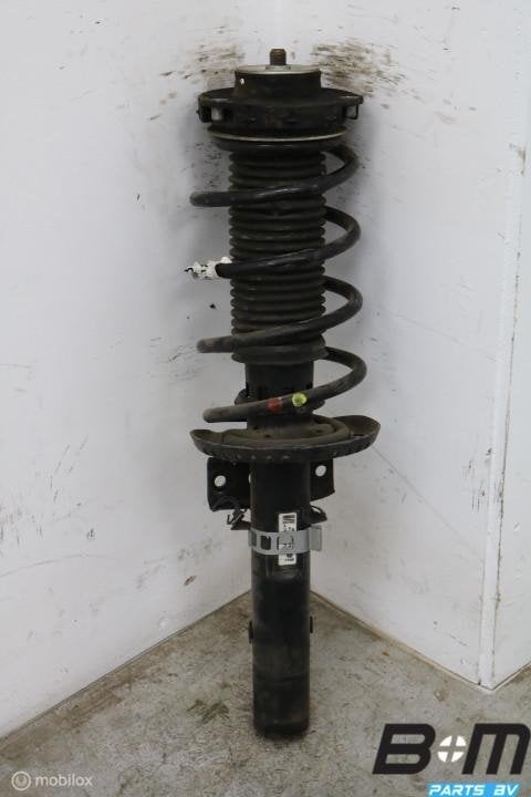 Veerpoot voorzijde kan L en R Skoda Fabia 6Q0413031BJ, Gebruikt