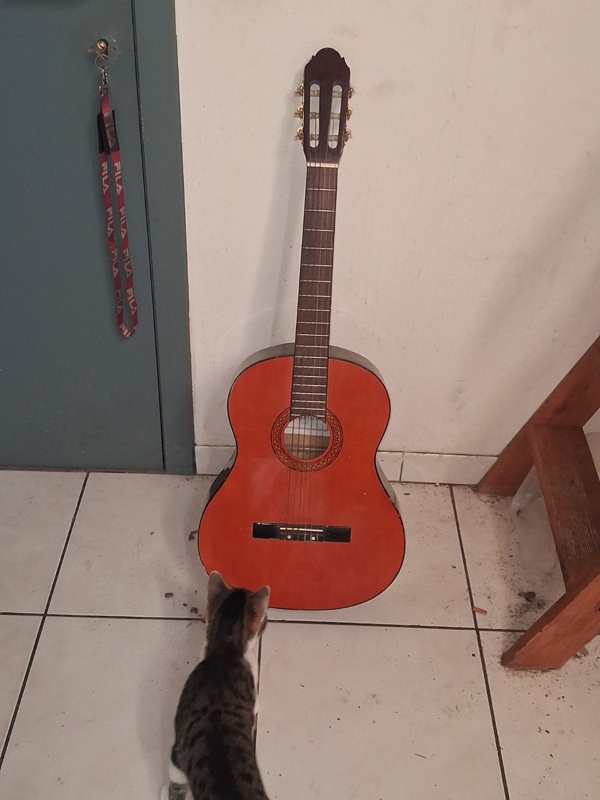 guitare, Enlèvement