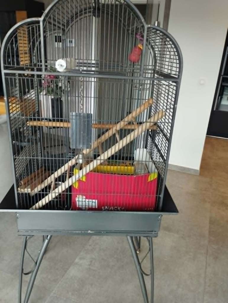 A vendre Cage pour perroquet, Animaux & Accessoires, Enlèvement, Comme neuf