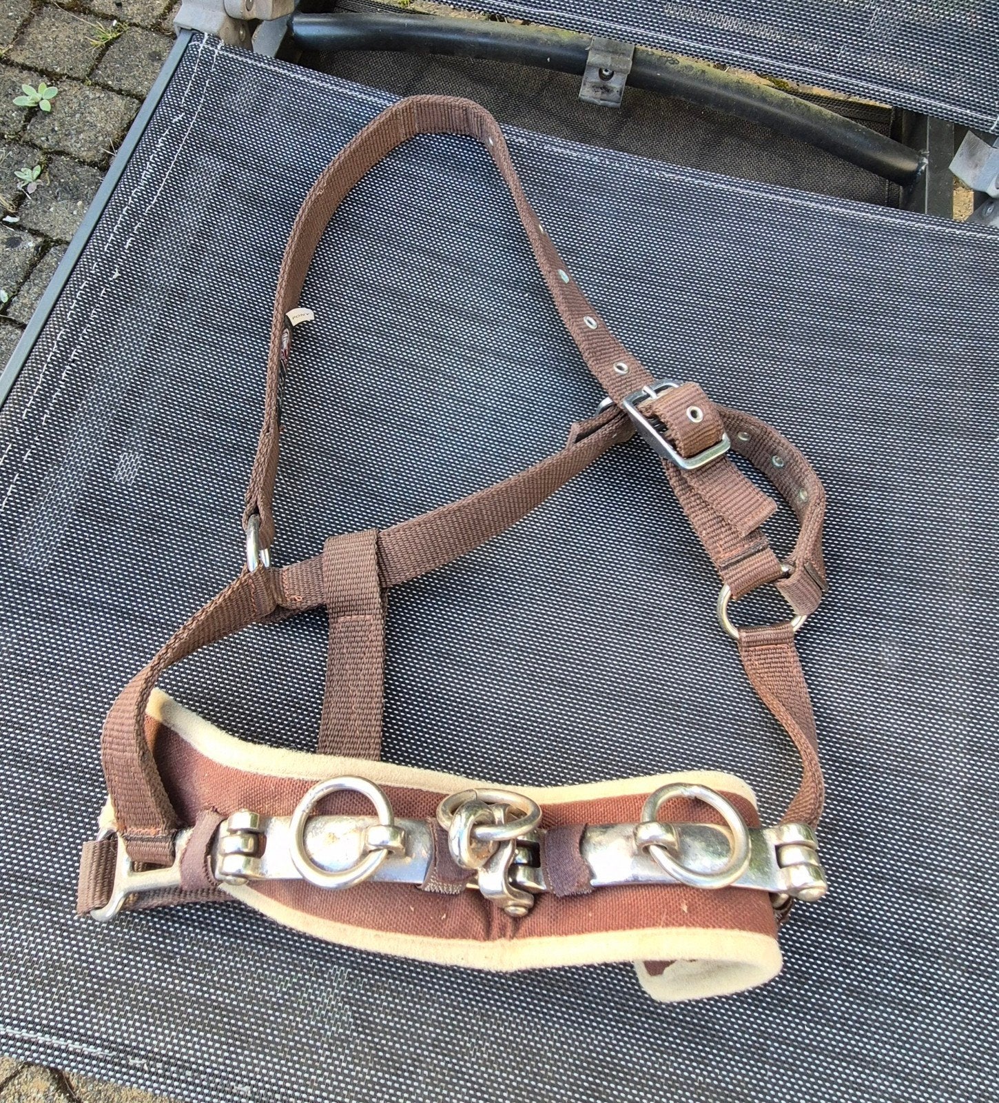Caveçon - équitation, Animaux & Accessoires, Enlèvement
