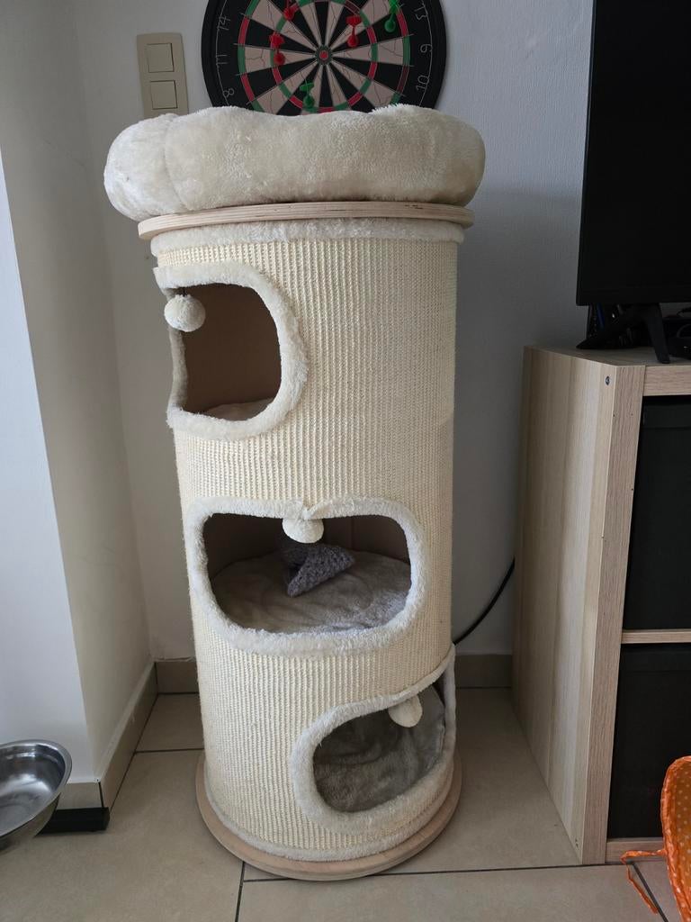 Arbre à chat, Enlèvement